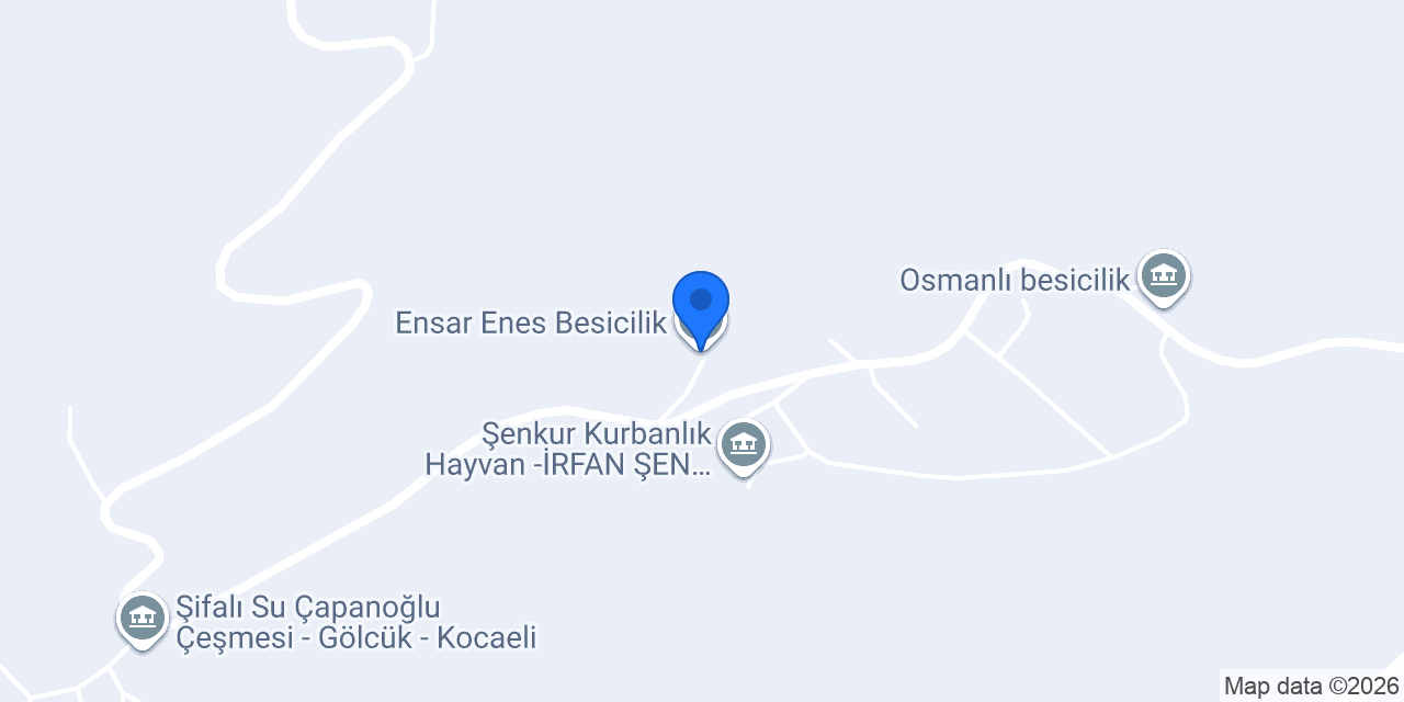 Ensar Enes Besicilik konumu
