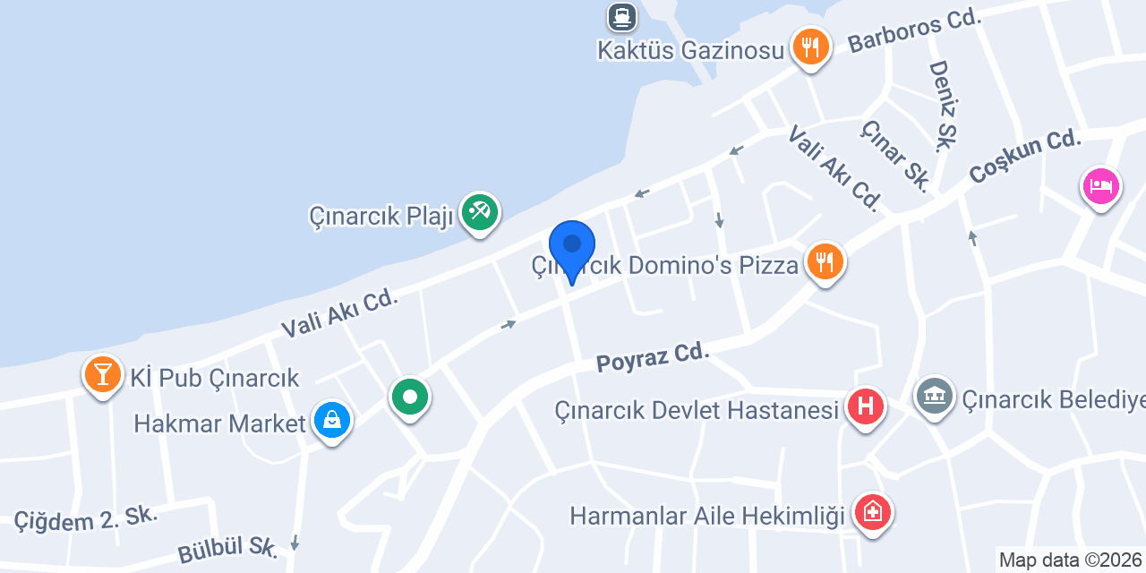 Erel Elektronik Çınarcık konumu