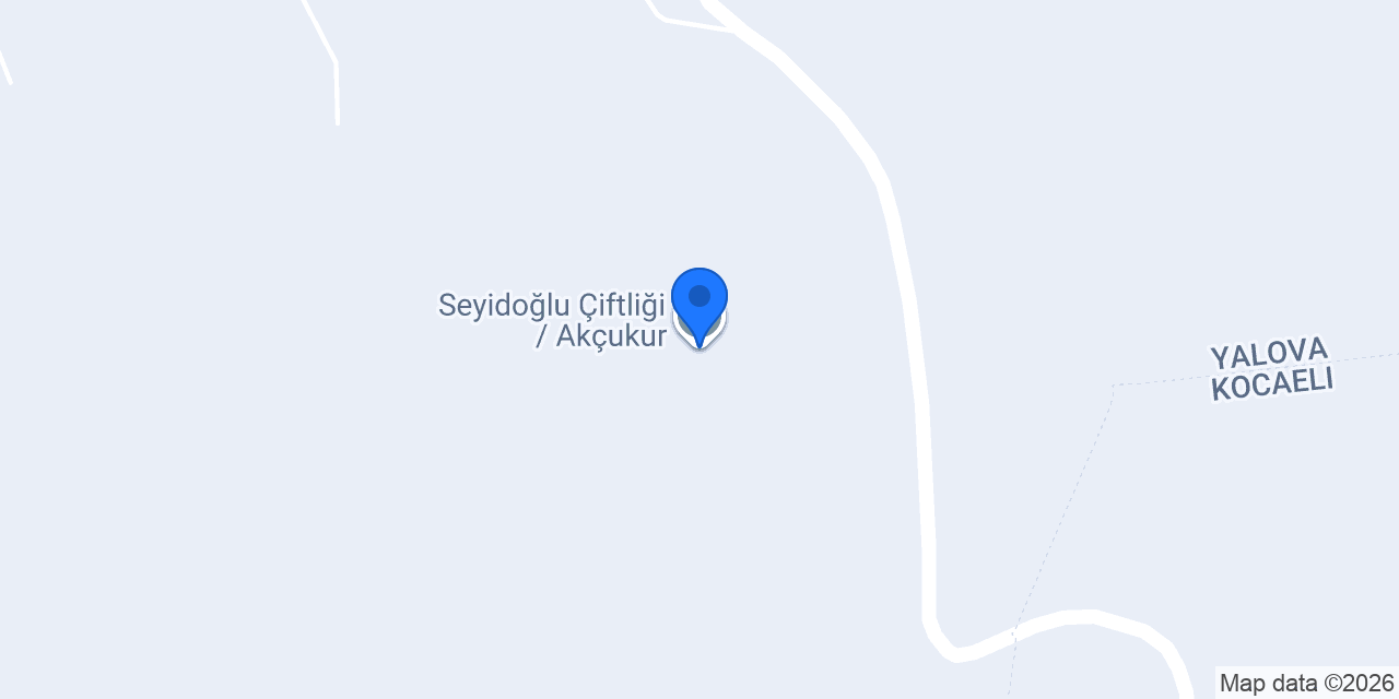 Seyidoğlu Çiftliği / Akçukur konumu