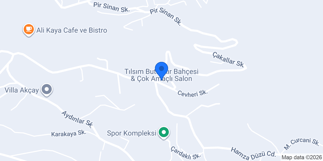 NEC ORGANİZASYON konumu