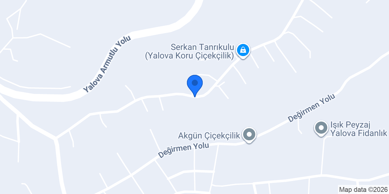 BAŞKAN ÇİÇEKÇİLİK konumu