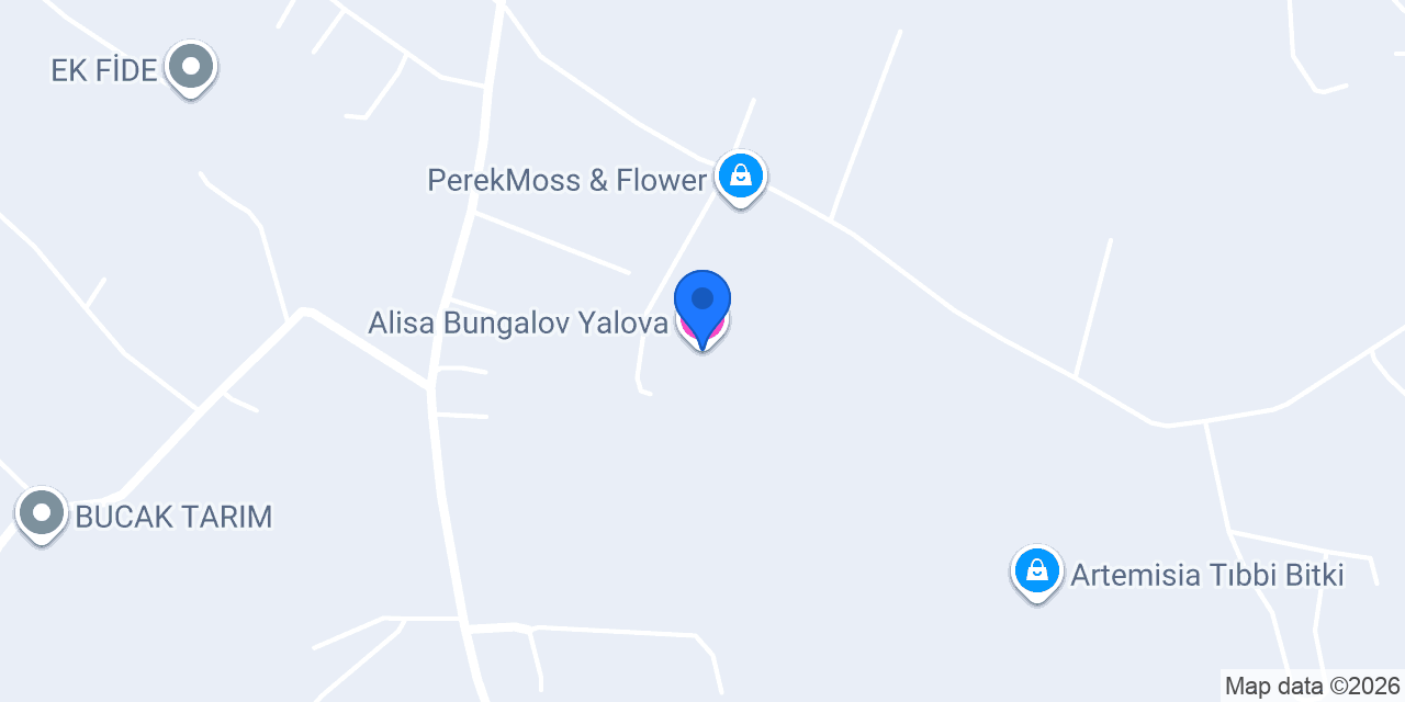Alisa Bungalov Yalova konumu