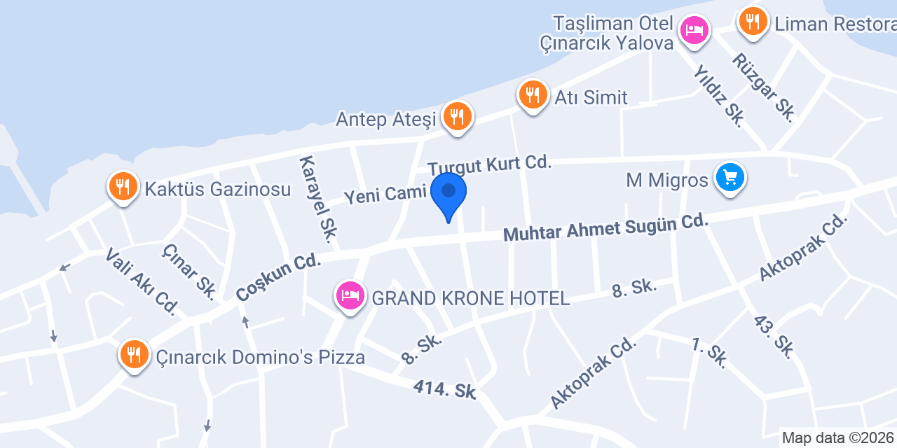 Çınarcık Veteriner Kliniği konumu
