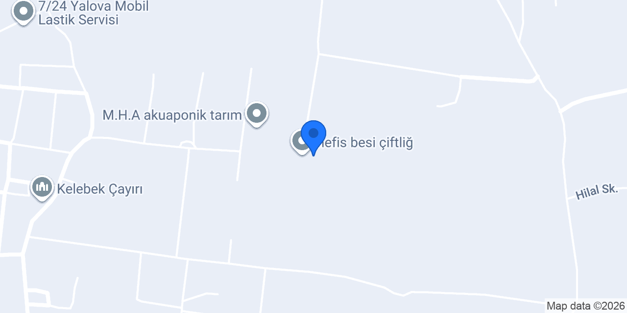 nefis besi çiftliğ konumu