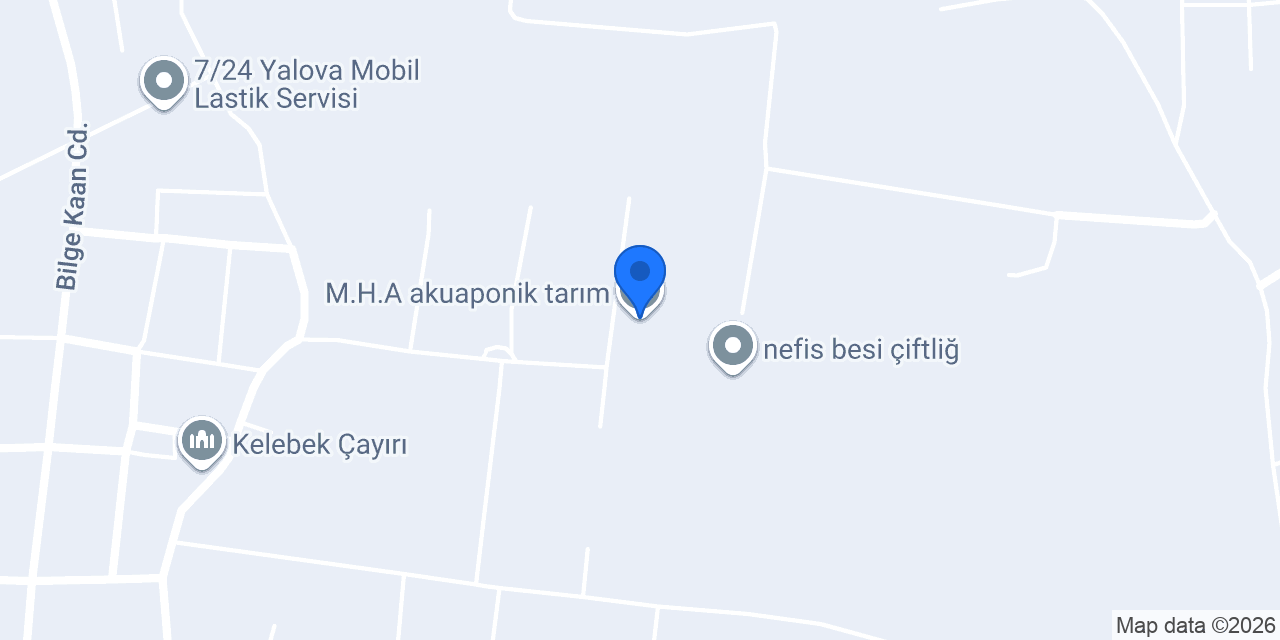 M.H.A akuaponik tarım konumu