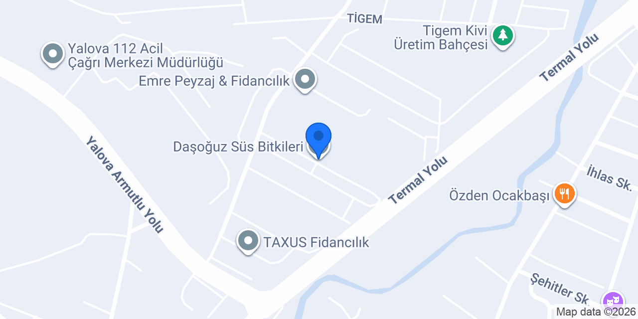 Daşoğuz Süs Bitkileri konumu