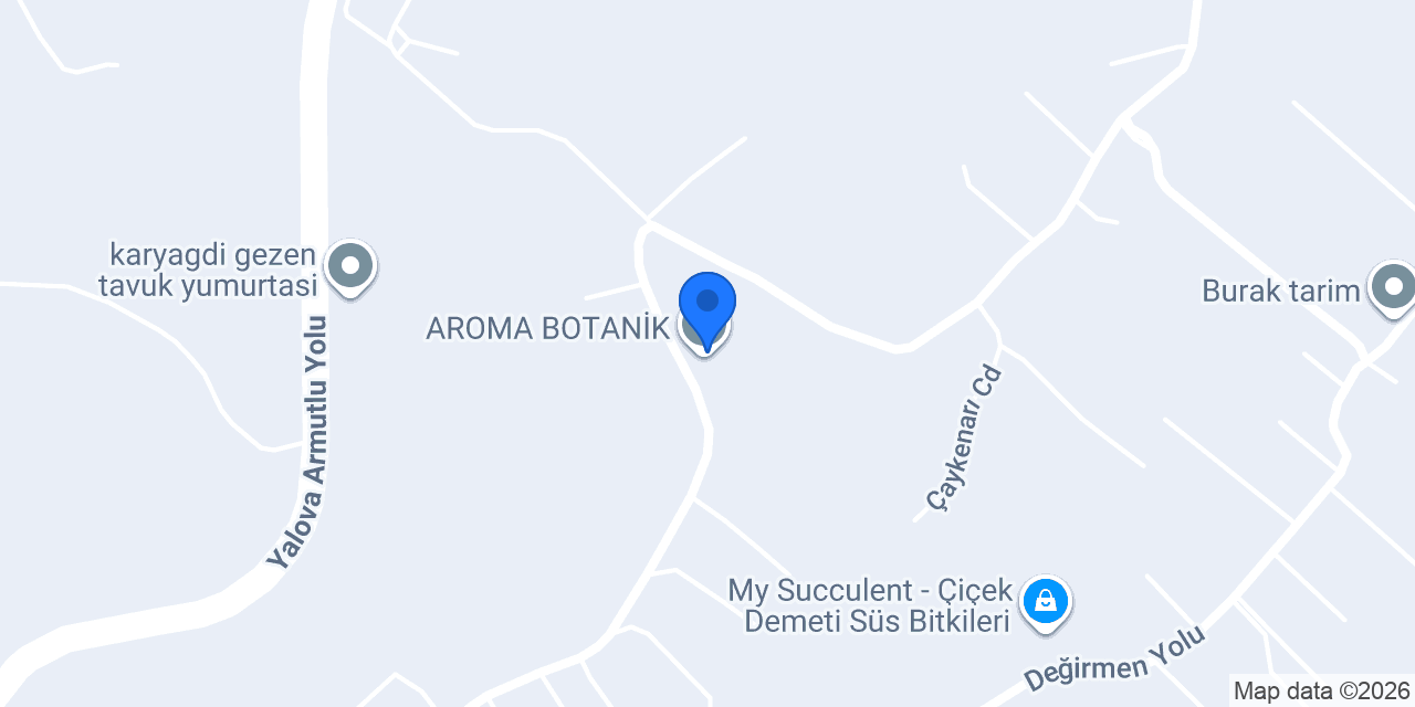 AROMA BOTANİK konumu