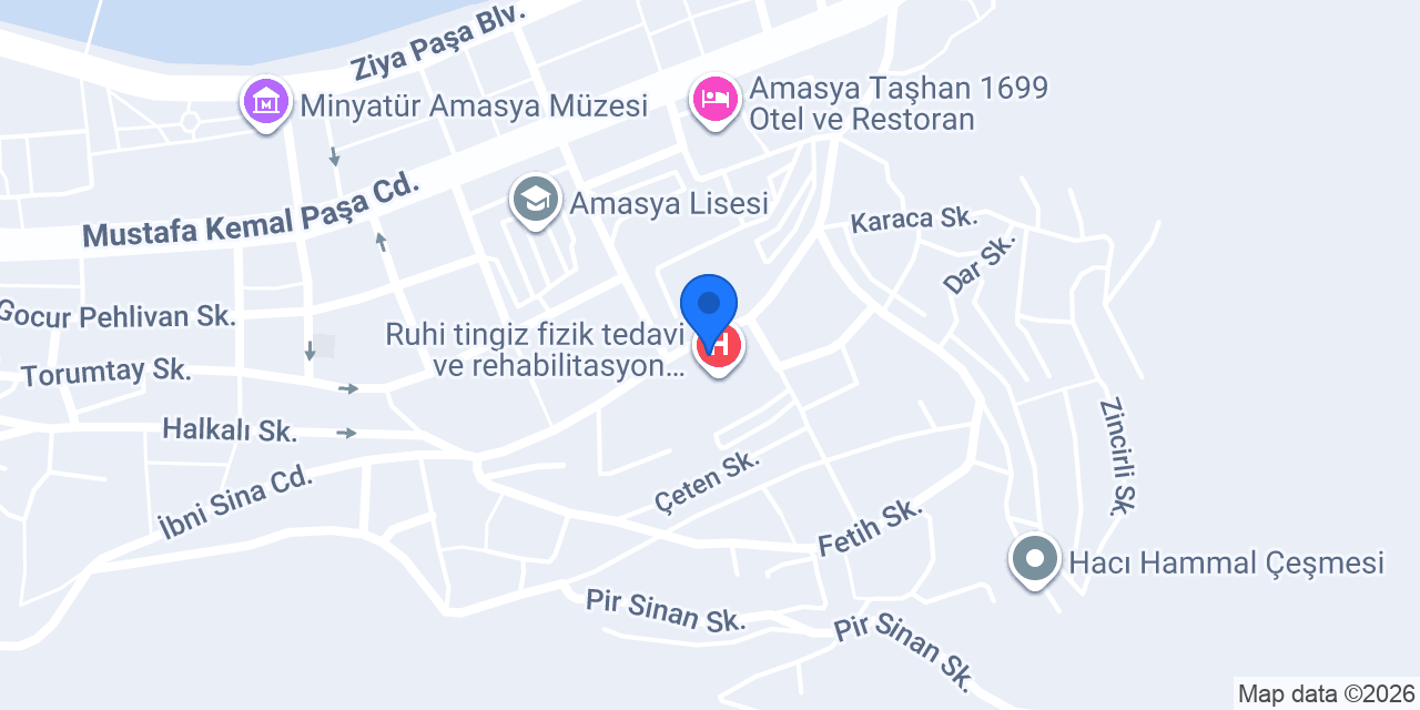 Ticari Taksi konumu