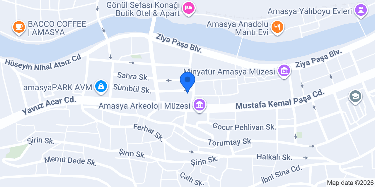Polyflex konumu