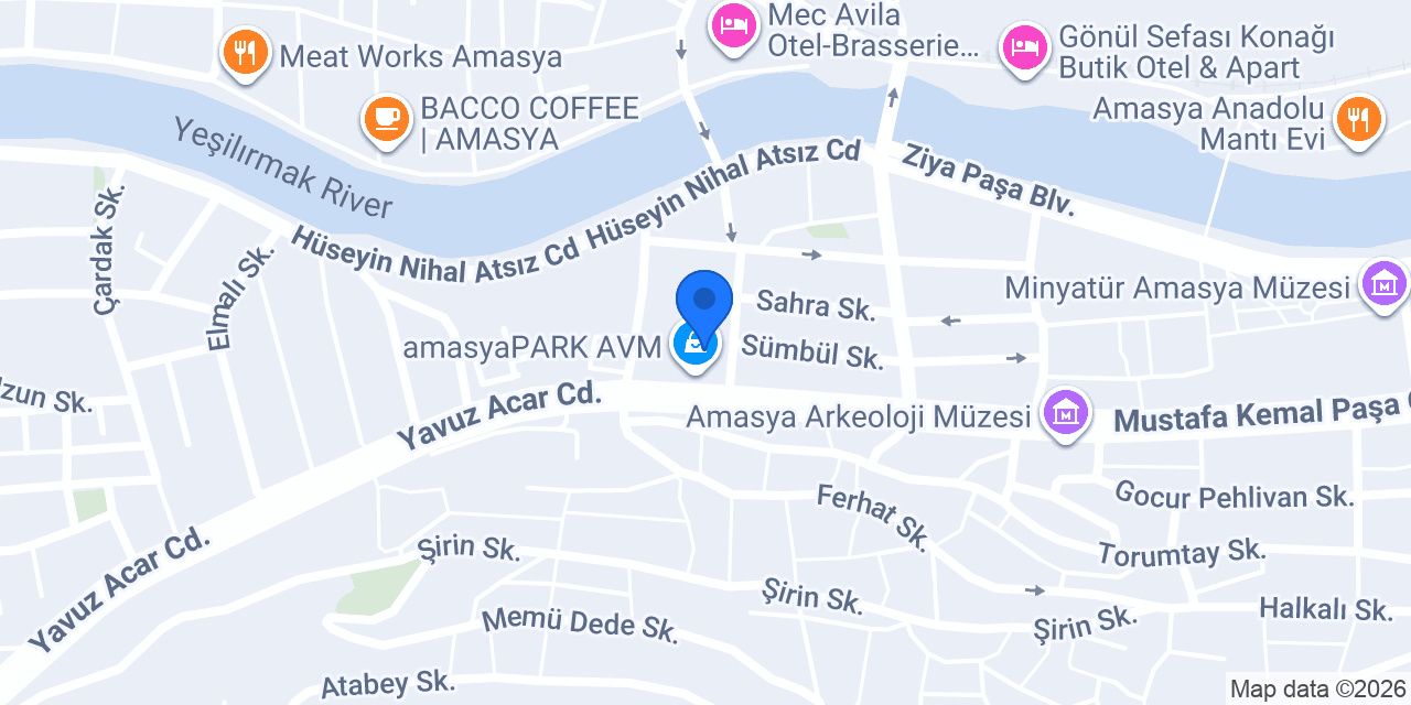 Pizza Wings Amasya konumu