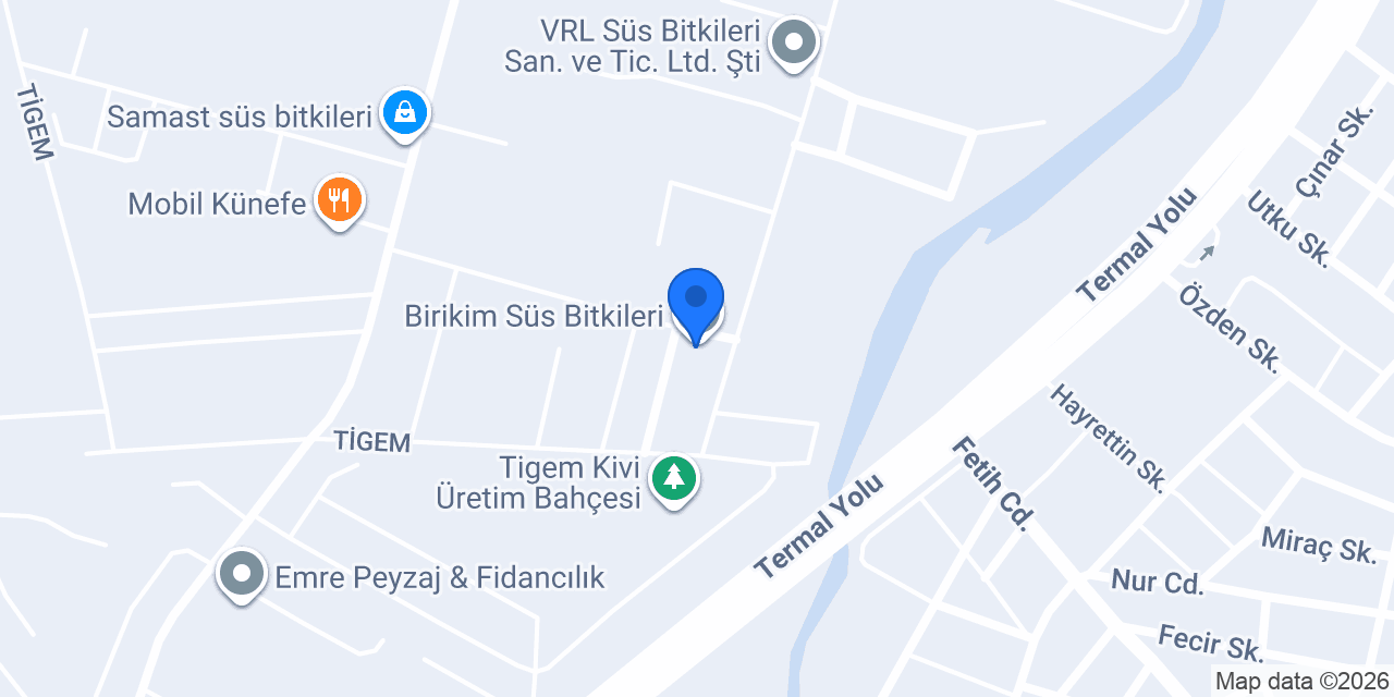 Birikim Süs Bitkileri konumu