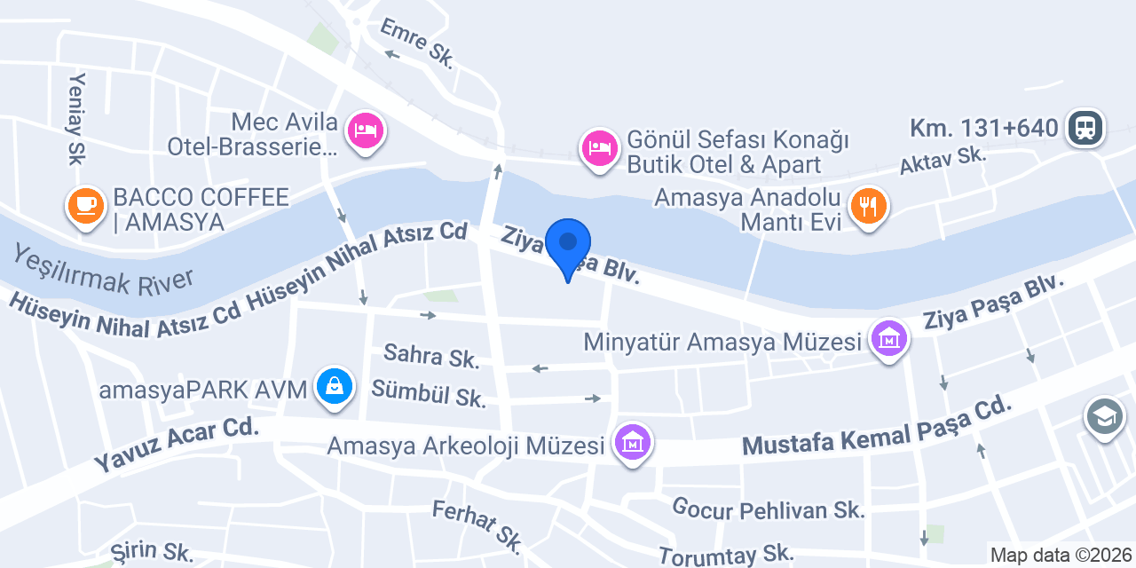 Domino's Pizza Amasya konumu