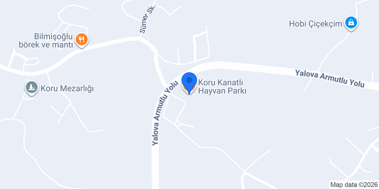 Koru Kanatlı Hayvan Parkı konumu