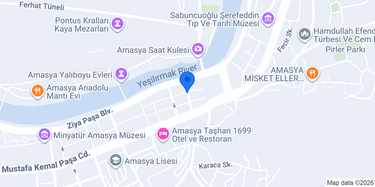 Print Forge 3D Studio Amasya konumu