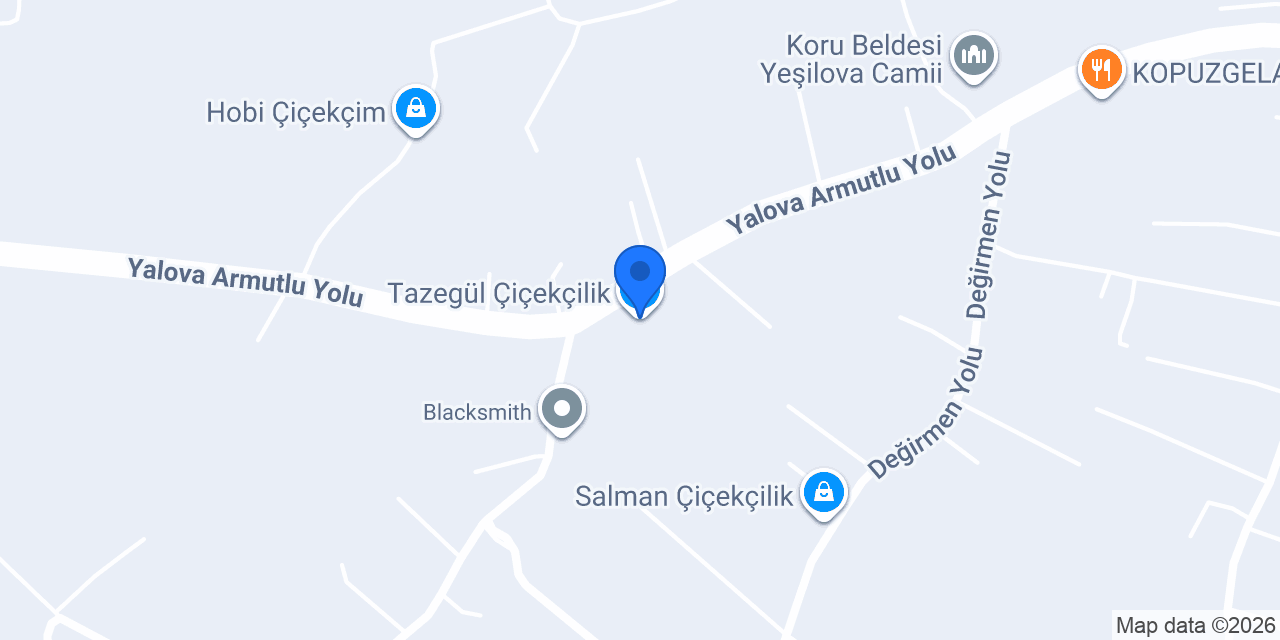 Tazegül Çiçekçilik konumu