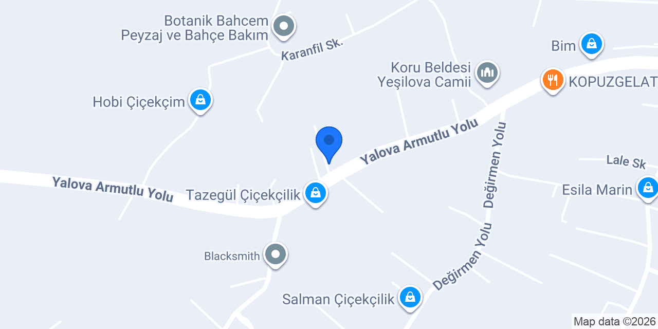 Geçkin Çiçekçilik konumu