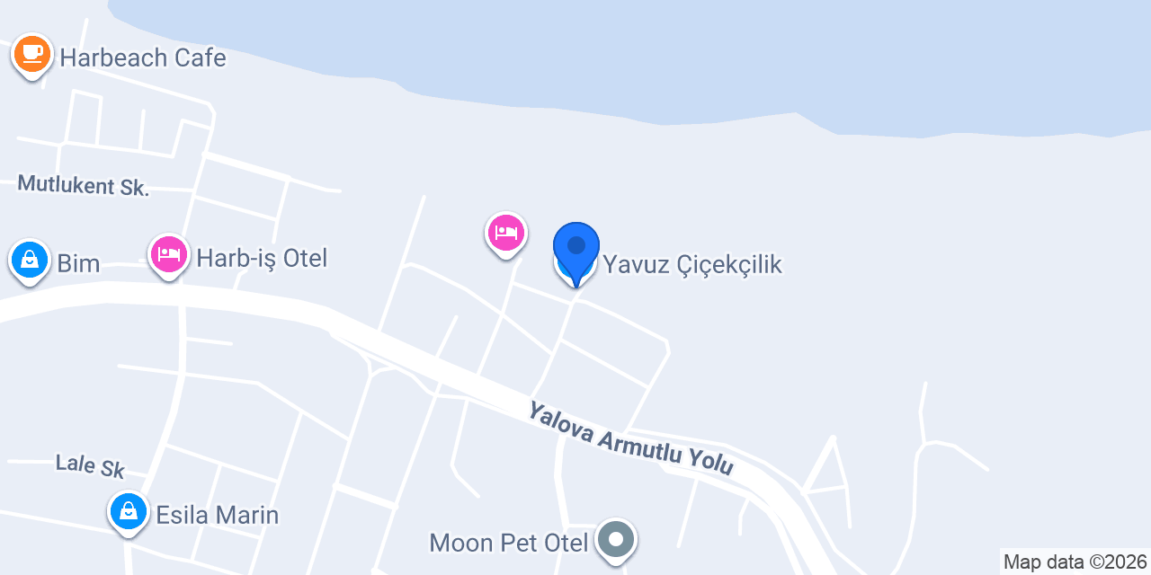 Yavuz Çiçekçilik konumu