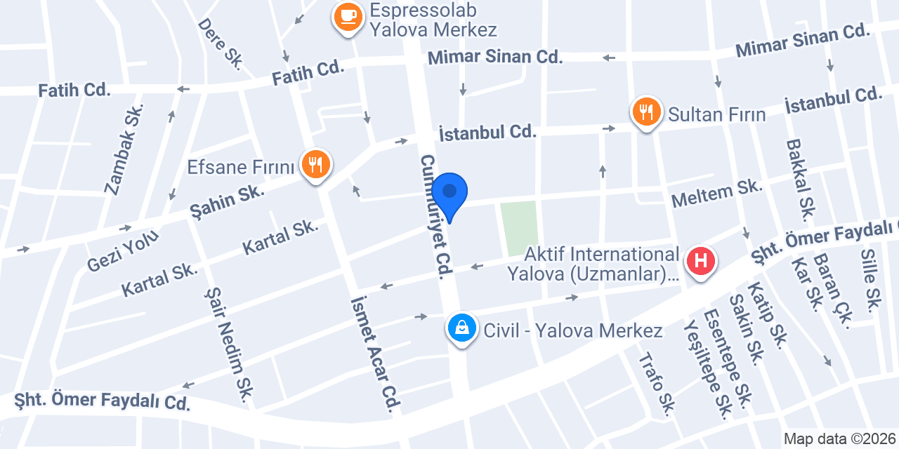 Tadım pide pizza kafe konumu