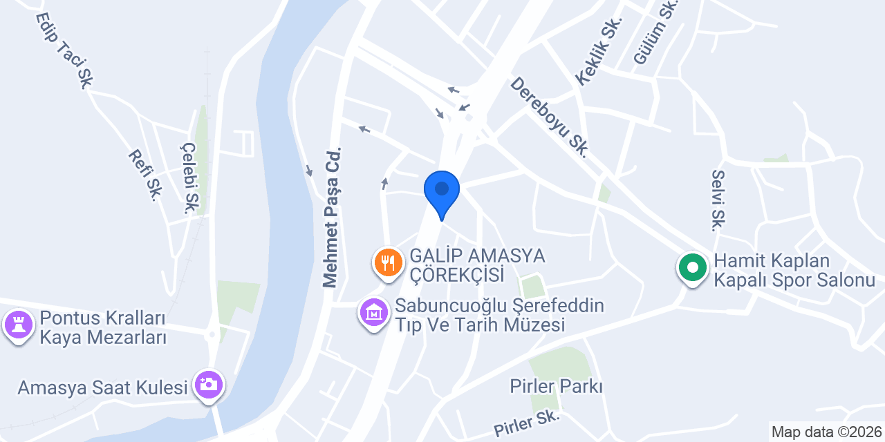 Doğa çiçekçilik Amasya konumu