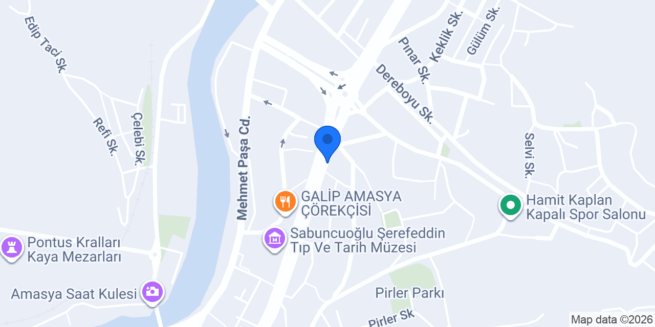 ULUSLARARASI DANIŞMANLIK konumu