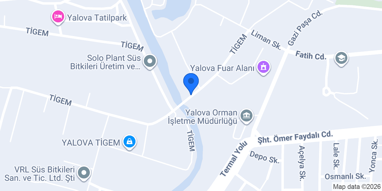 Varol Grup Tarımsal Üretim konumu