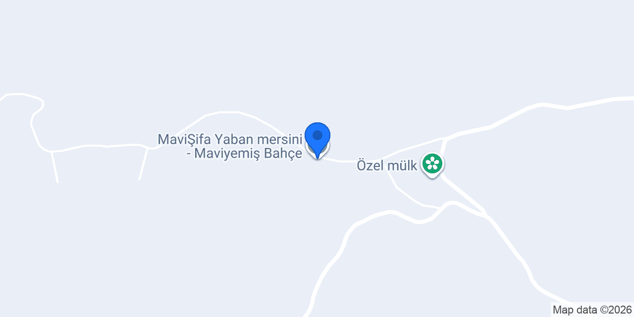 MaviŞifa Yaban mersini - Maviyemiş Bahçe konumu