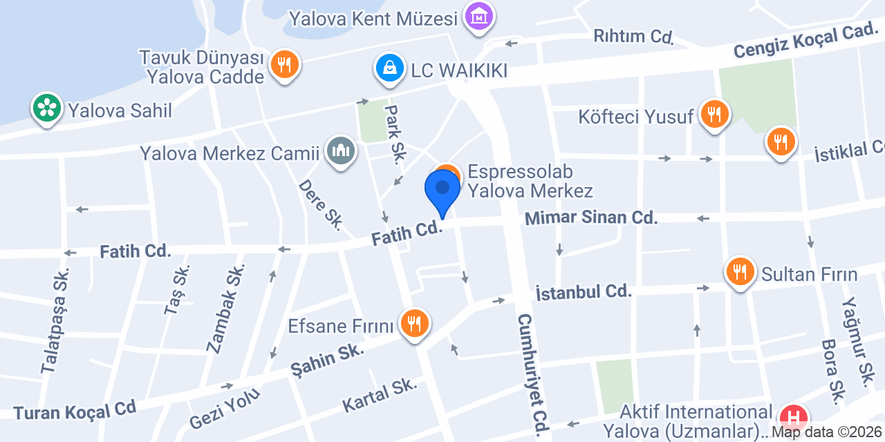Yalova Vital Psikoloji konumu