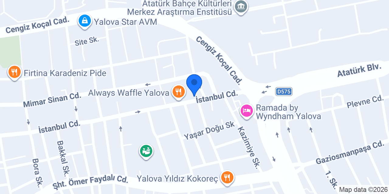 Çınaraltı Kasap Mahmut konumu