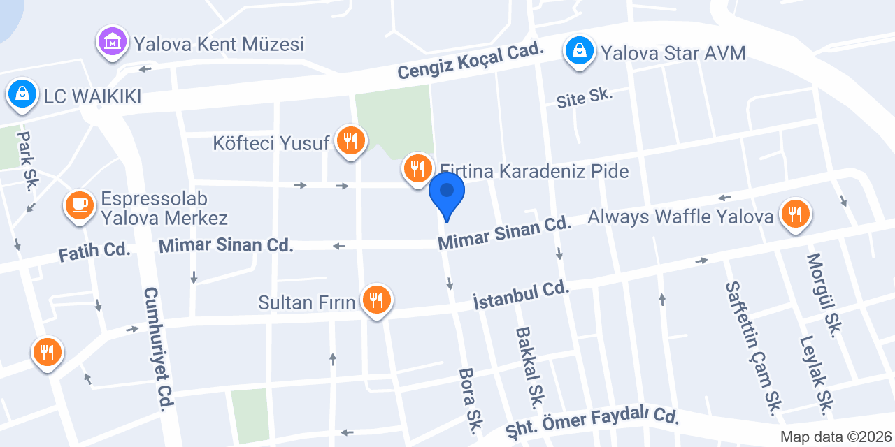 Çınar Börekçisi konumu