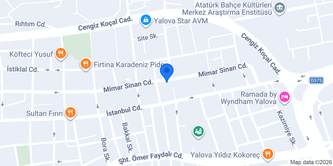 RAA ORGANIZASYON konumu