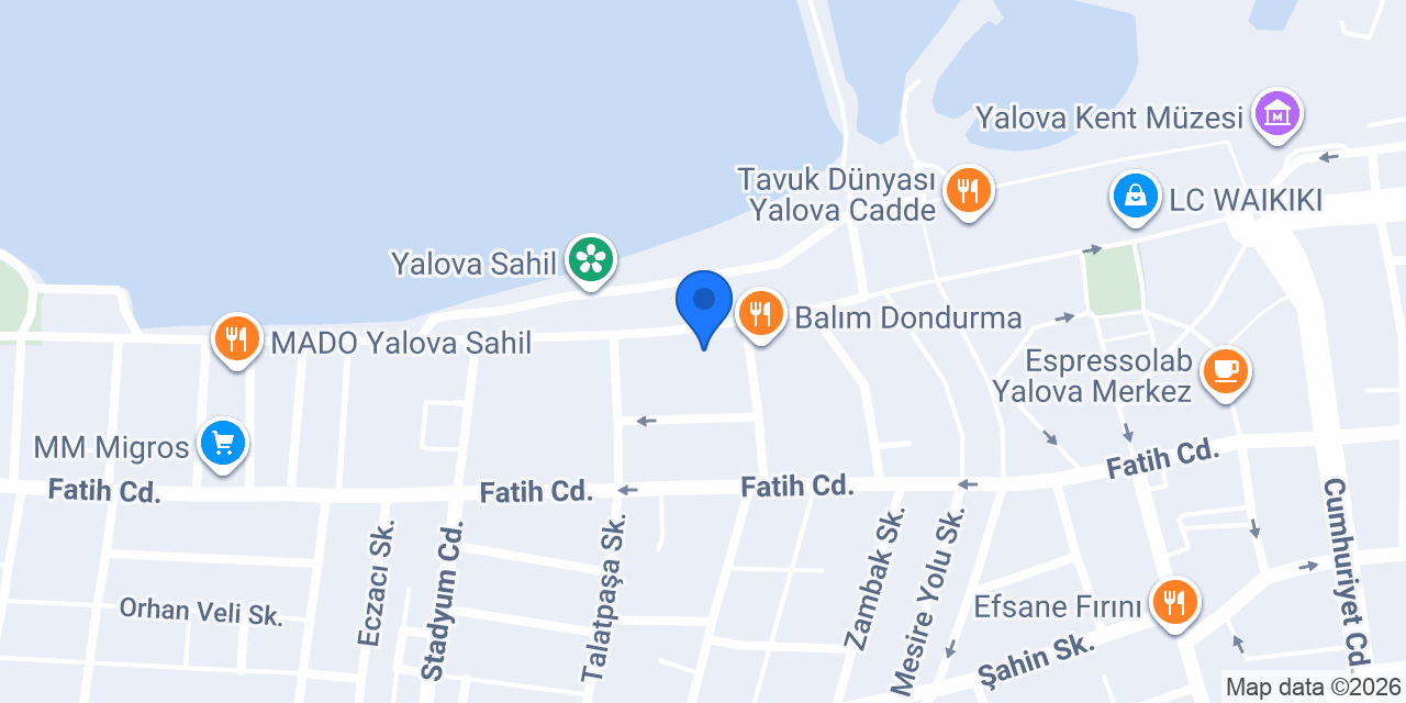 Pasaport Pizza Yalova konumu