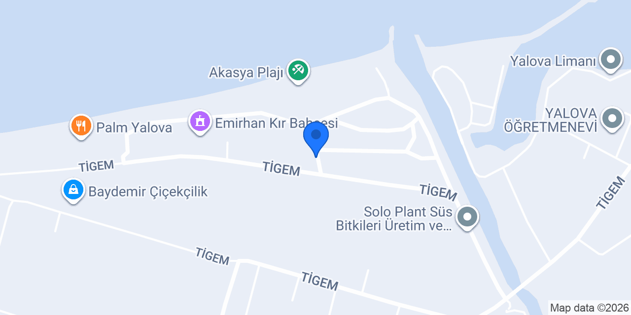 Yalova Tatilpark konumu