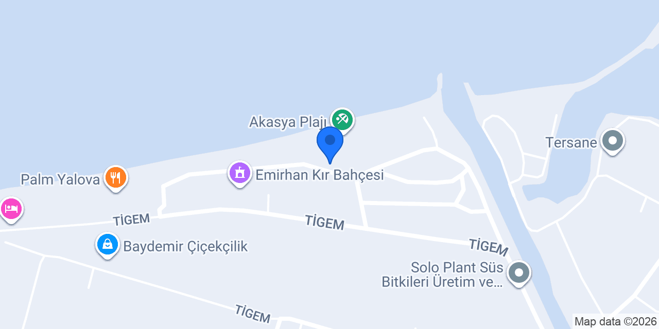 Grand Beyzade Hotel konumu