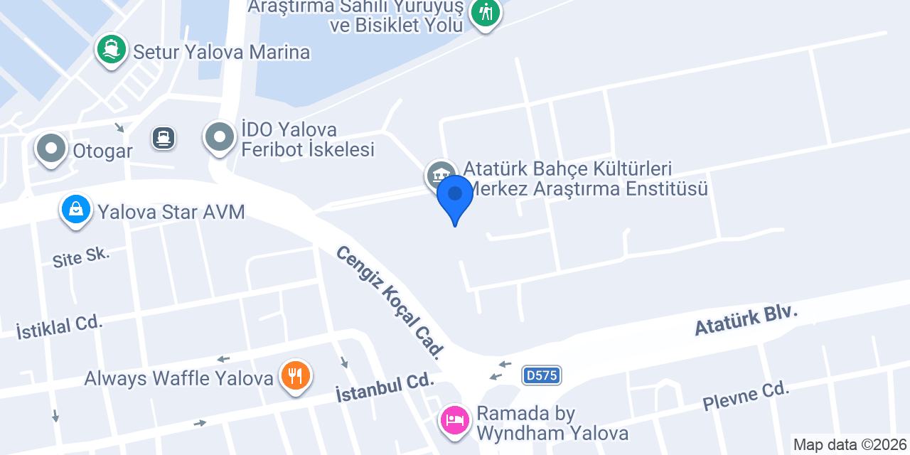 BAHÇE konumu