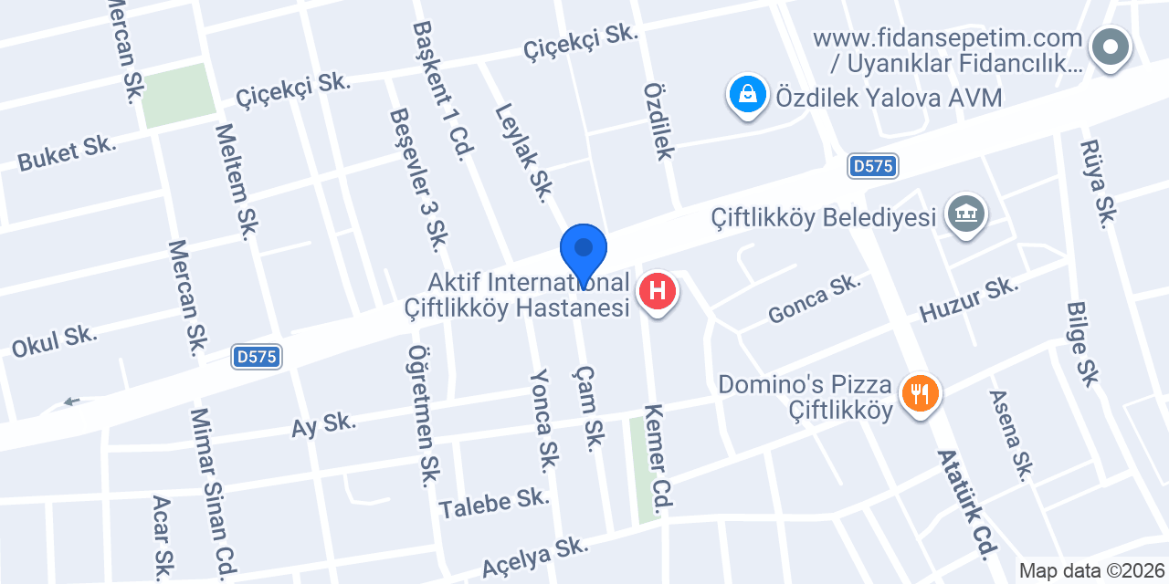 Seren Öğretmen konumu