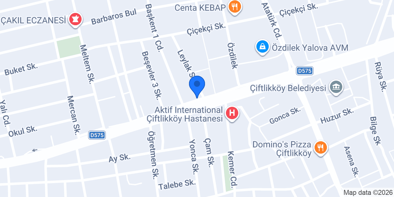 Emrah Usta Cağ Kebap Yalova konumu