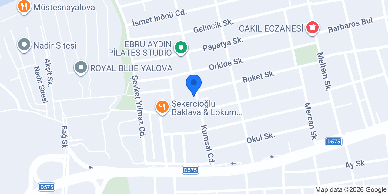 Terzi Yalçın konumu