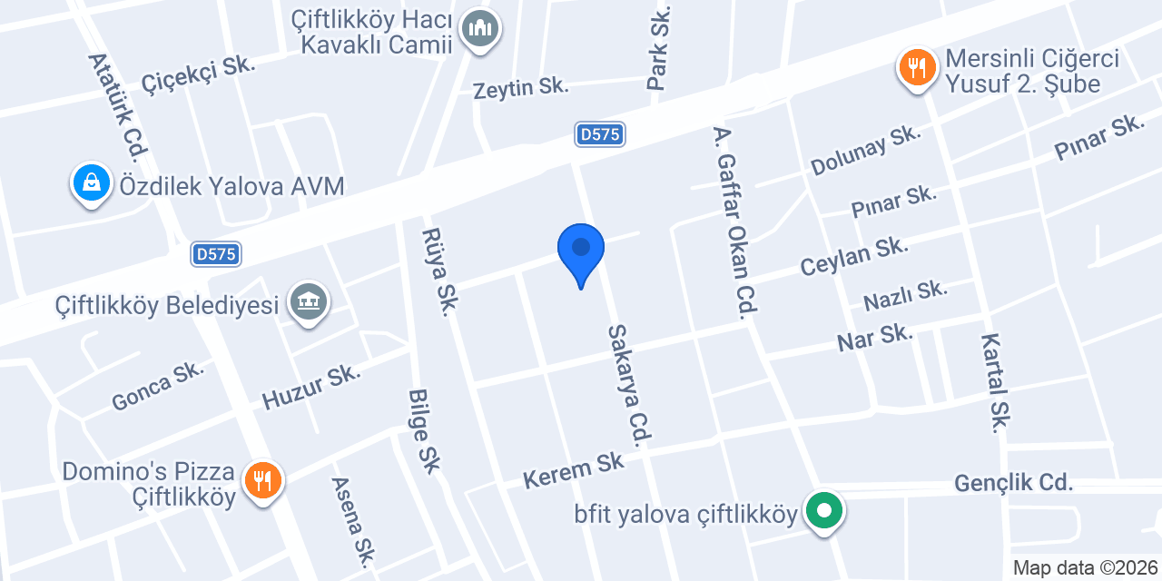 UPS KARGO YALOVA konumu