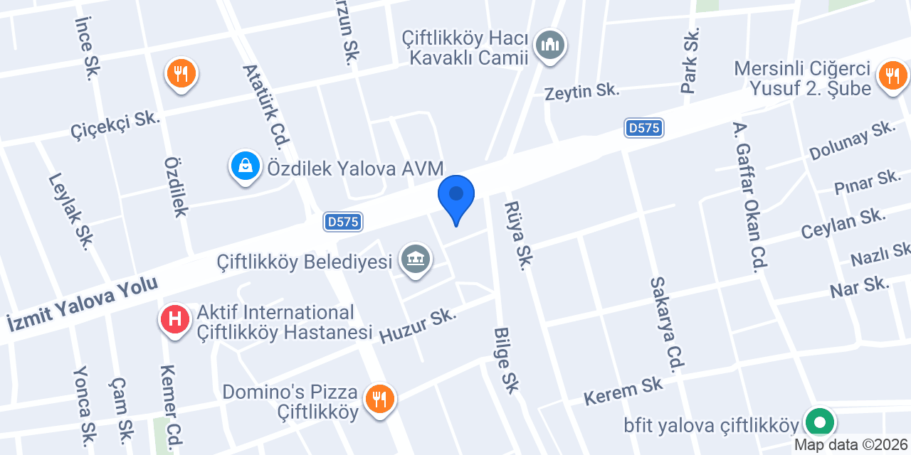 LİNK TEKNOLOJİ konumu
