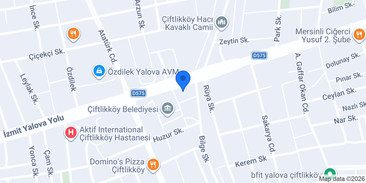 Festival'de Kal konumu