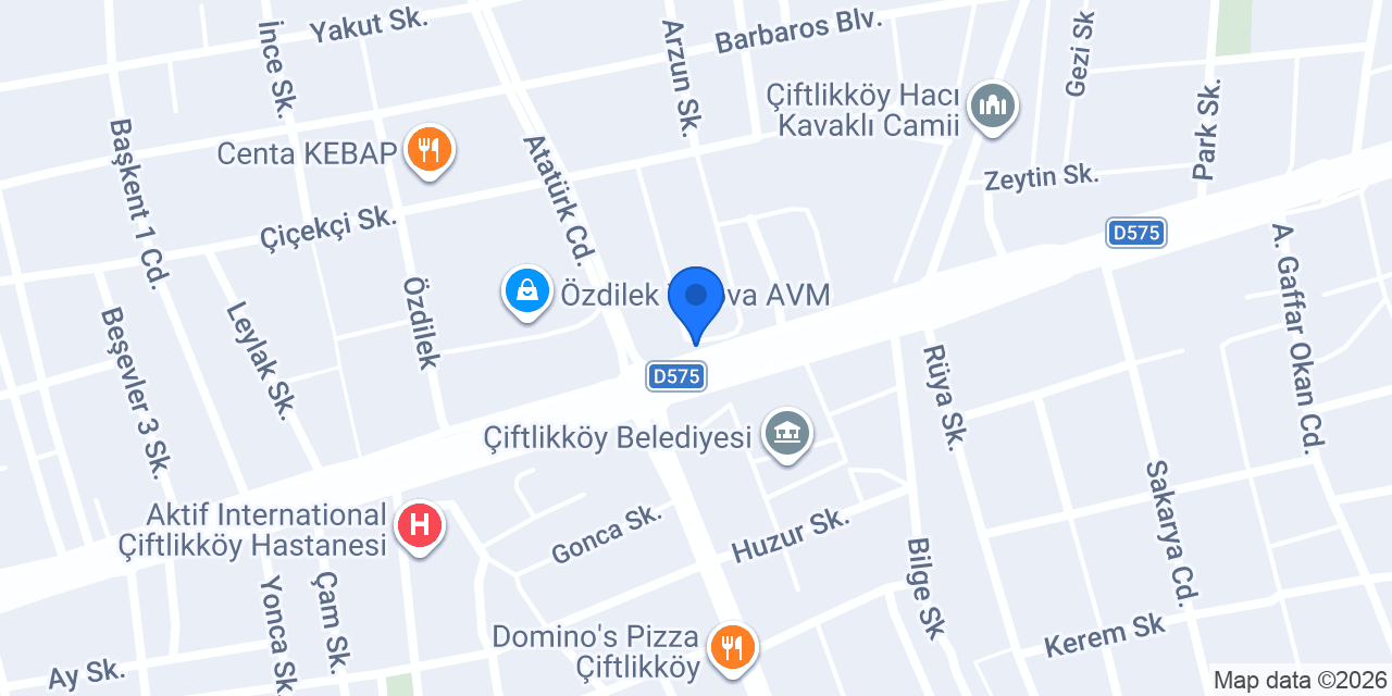 Sukulentim süs bitkileri konumu