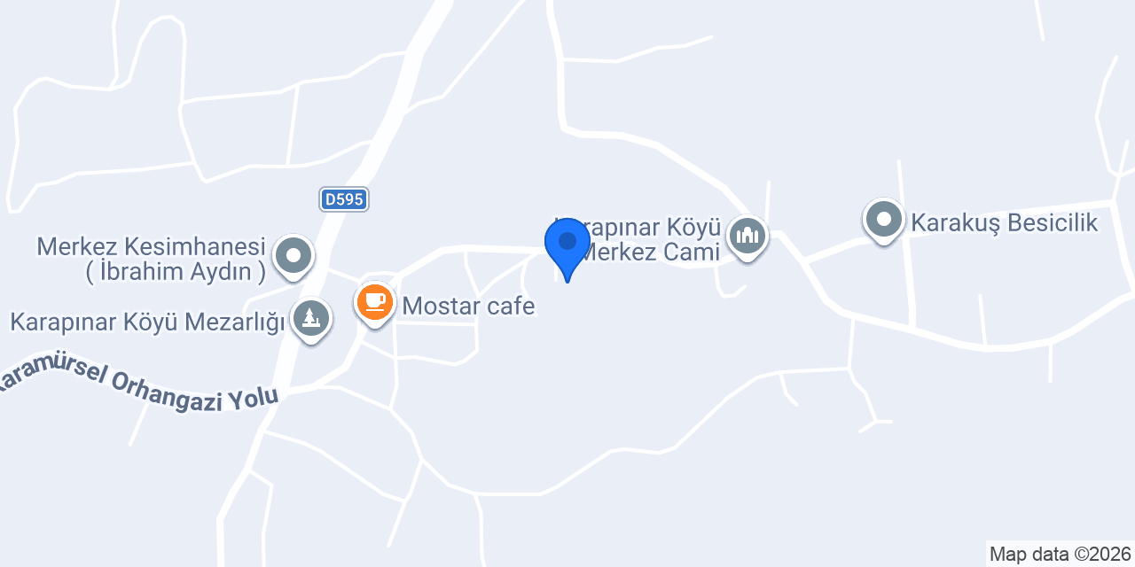 KILINÇSOY BESICILIK konumu
