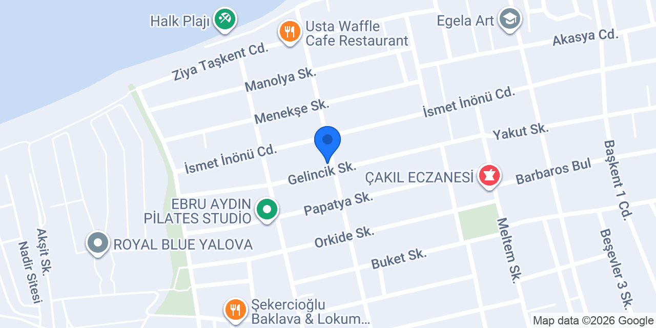 ÖZ BAŞKAN EMLAK konumu