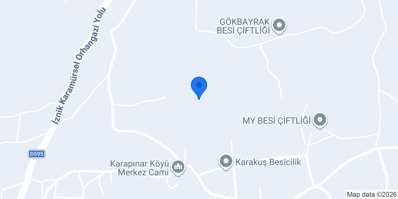 Başkanın Çiftliği Karapınar konumu