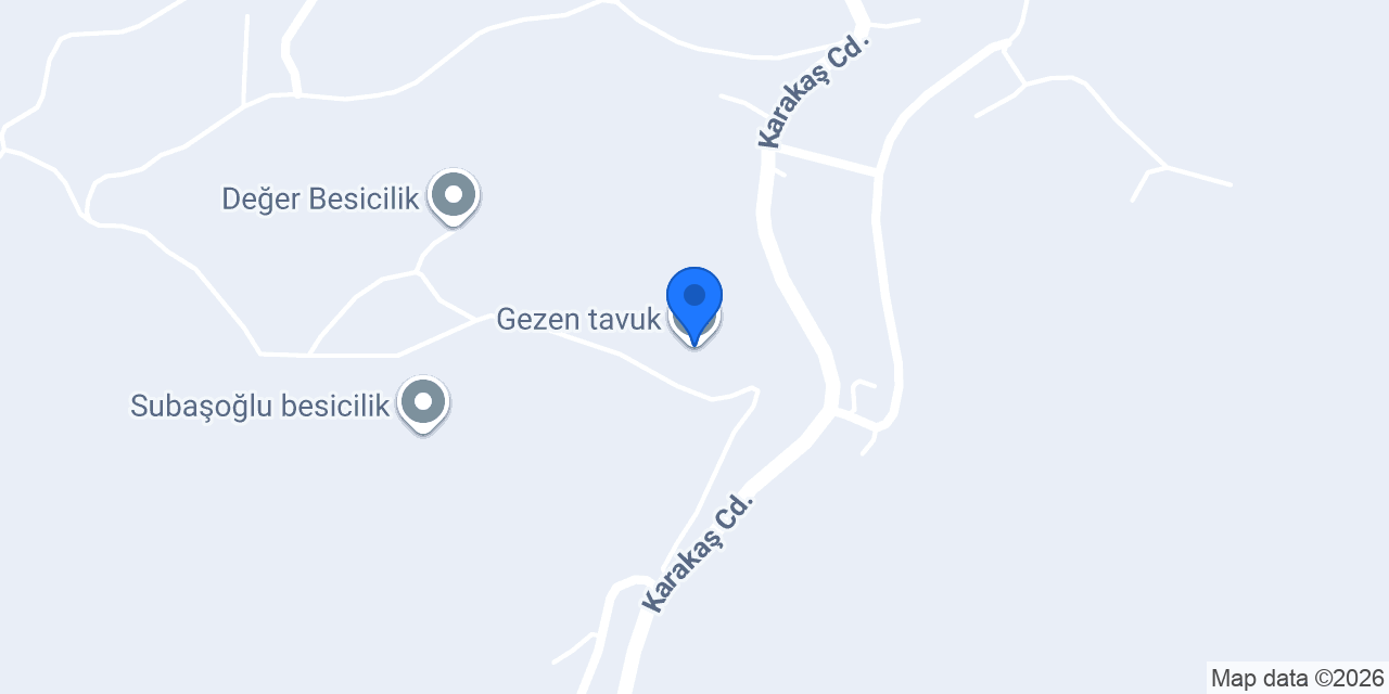Gezen tavuk konumu