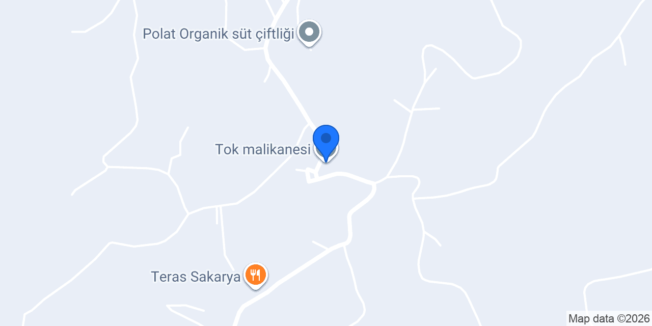 Tok malikanesi konumu