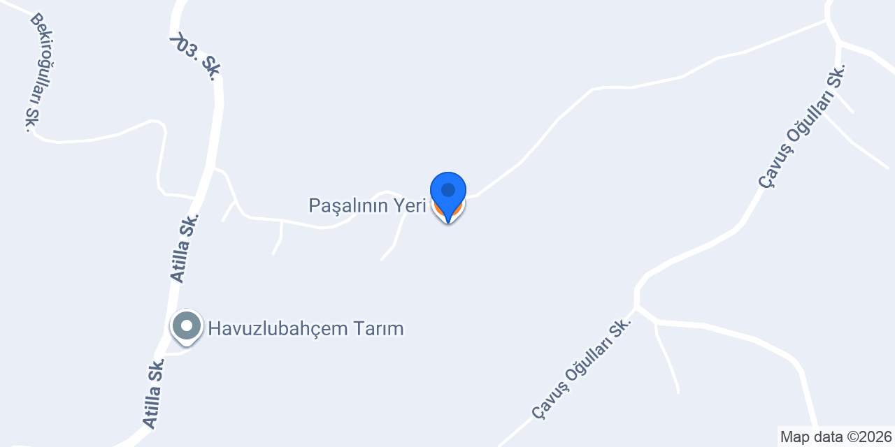 Paşalının Yeri konumu