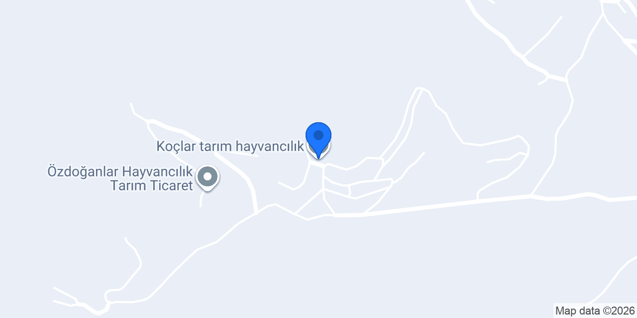 Koçlar tarım hayvancılık konumu
