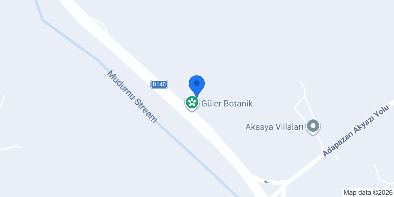 MÜSA ( MANTAR ÜRETİM SATIŞ ) konumu