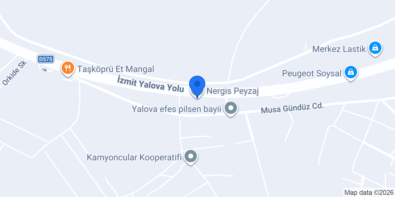 Nergis Peyzaj konumu